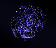 Sanctuary AI